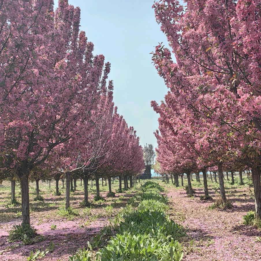 S社会很单纯 复杂的是人