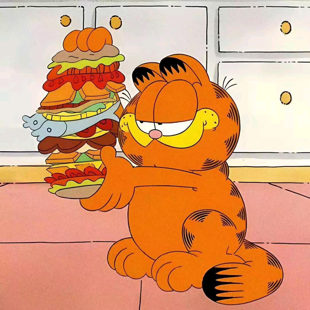 不吃加菲猫的千层饼