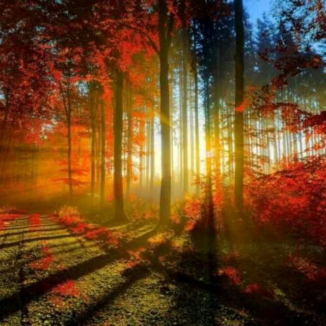 小马哥🌞☀️☀️🌞