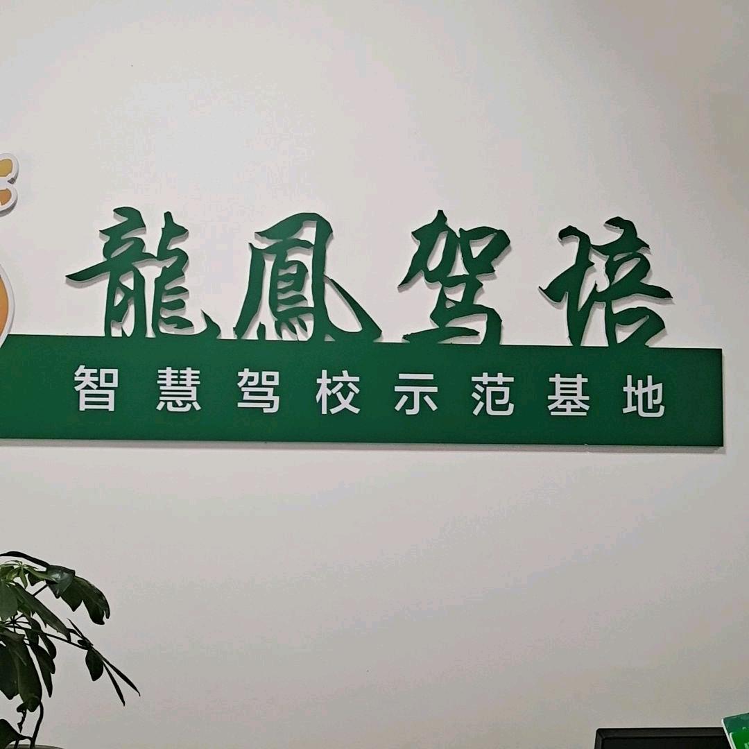 凤驭驾校 妮子