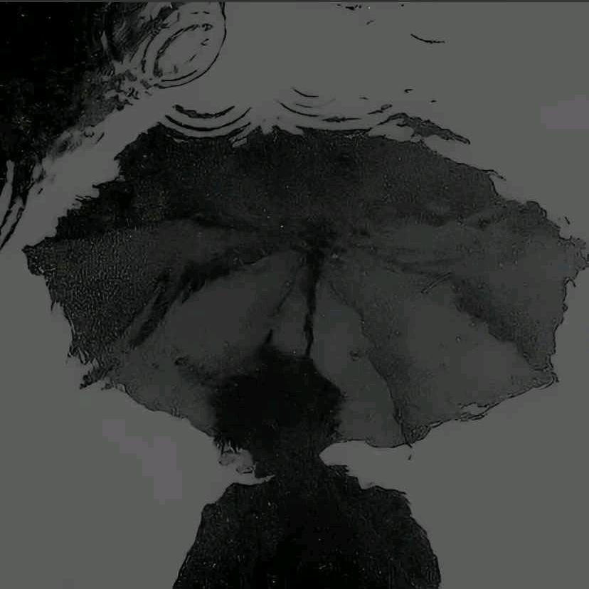 呲溜的可(勒)汽水