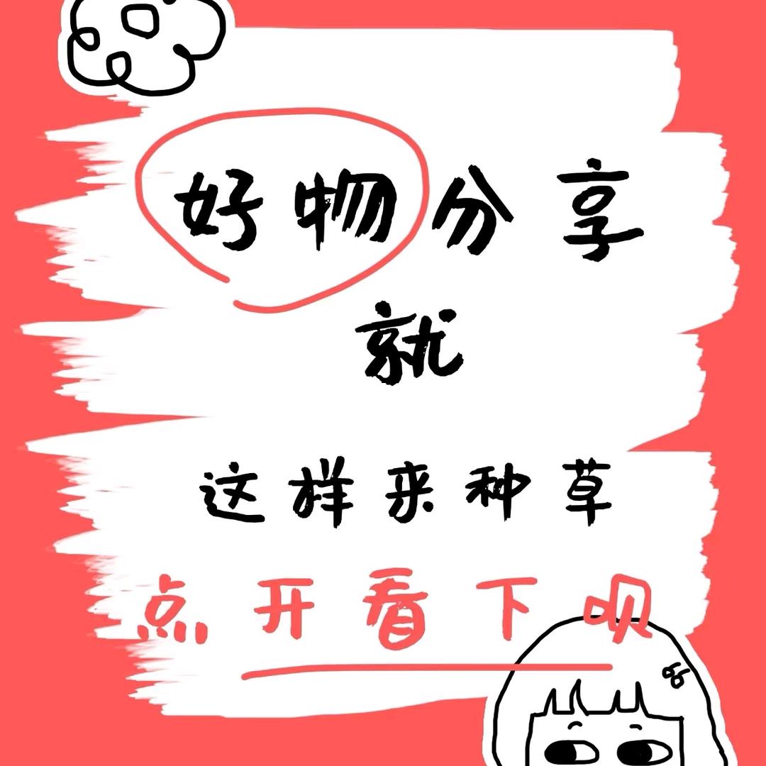 玫瑰好物推荐