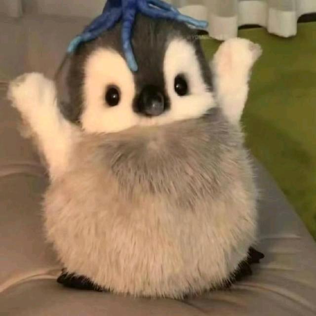 电饭锅习惯防护服