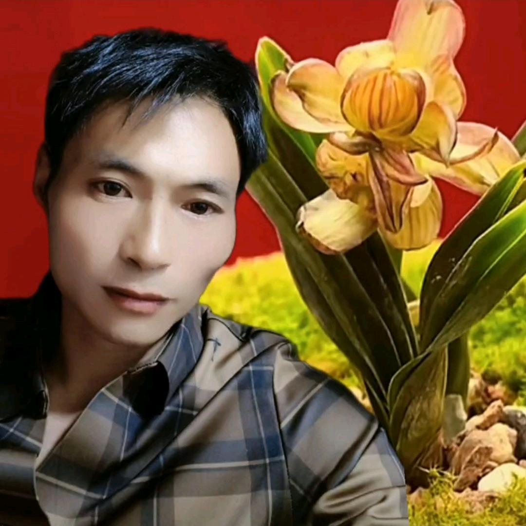 黑色生命力