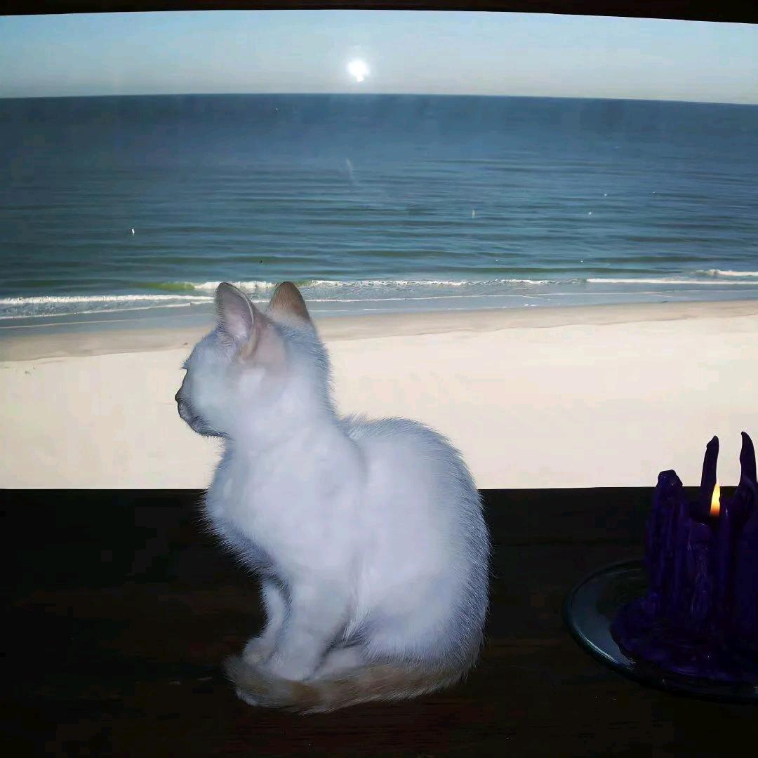 塑明星连锁店好多人呀