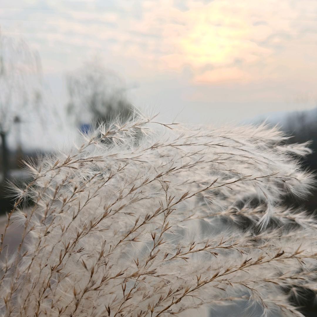 福满乡（幸福安康）