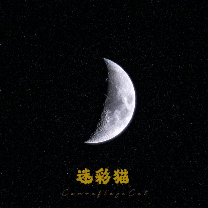 迷彩猫