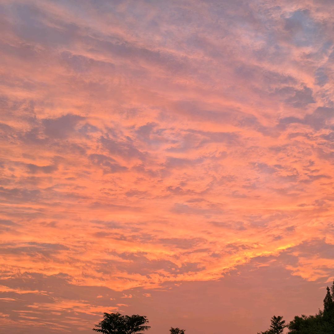 小沈羊牛肉（鹿邑）