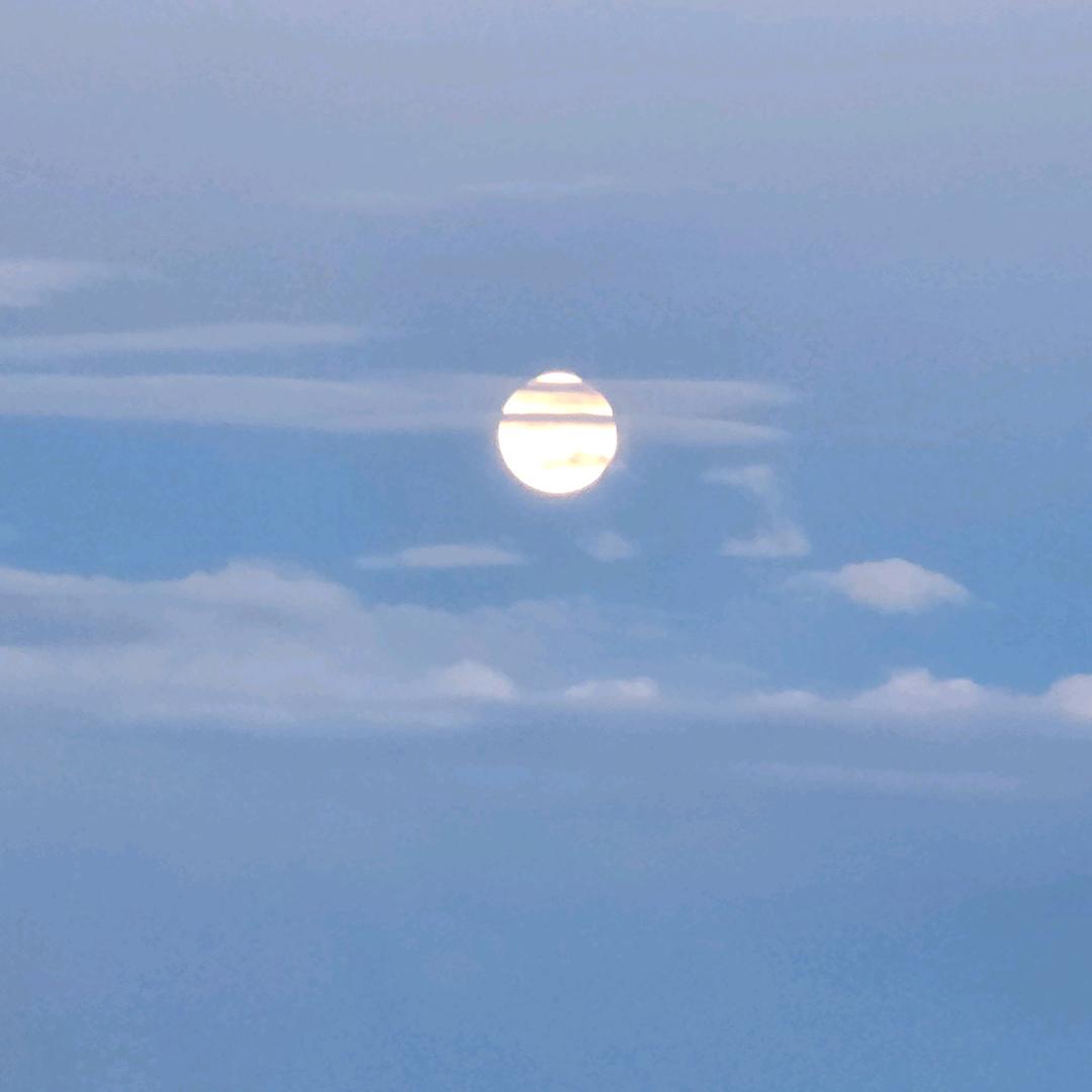 小扎❶❸❼❻
