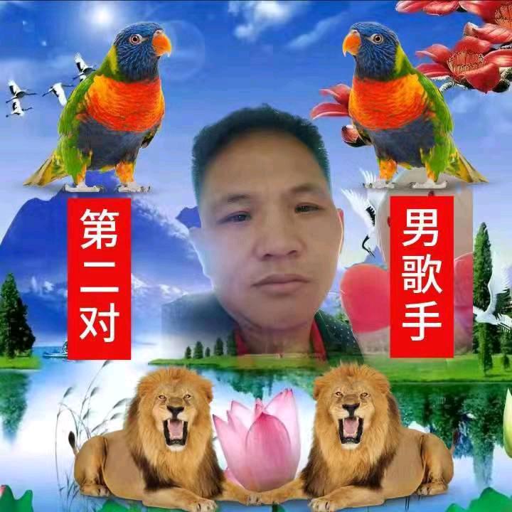 织金山歌主播 鄢歌郎