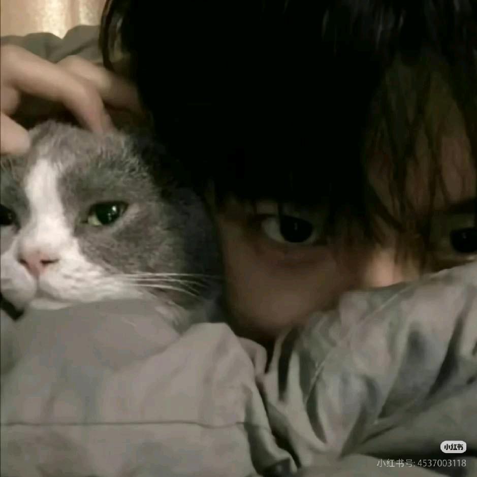 小猫爱吃鱼🐟🐟