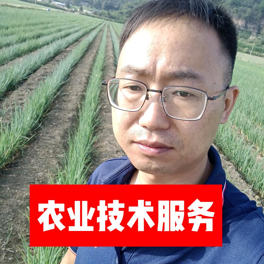 农业服务赵朝军（金正大）