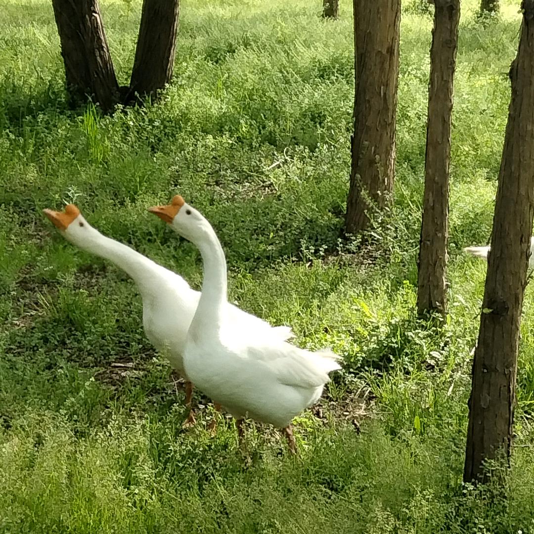 爱一直都在·乐