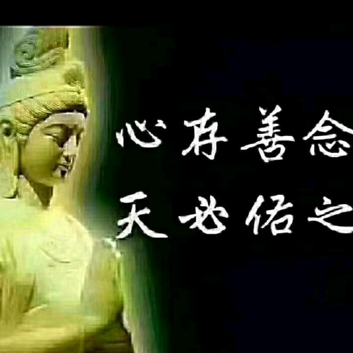 🙏🌹真心永恒🌹🙏