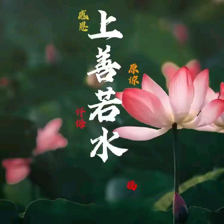 上善若水LAD