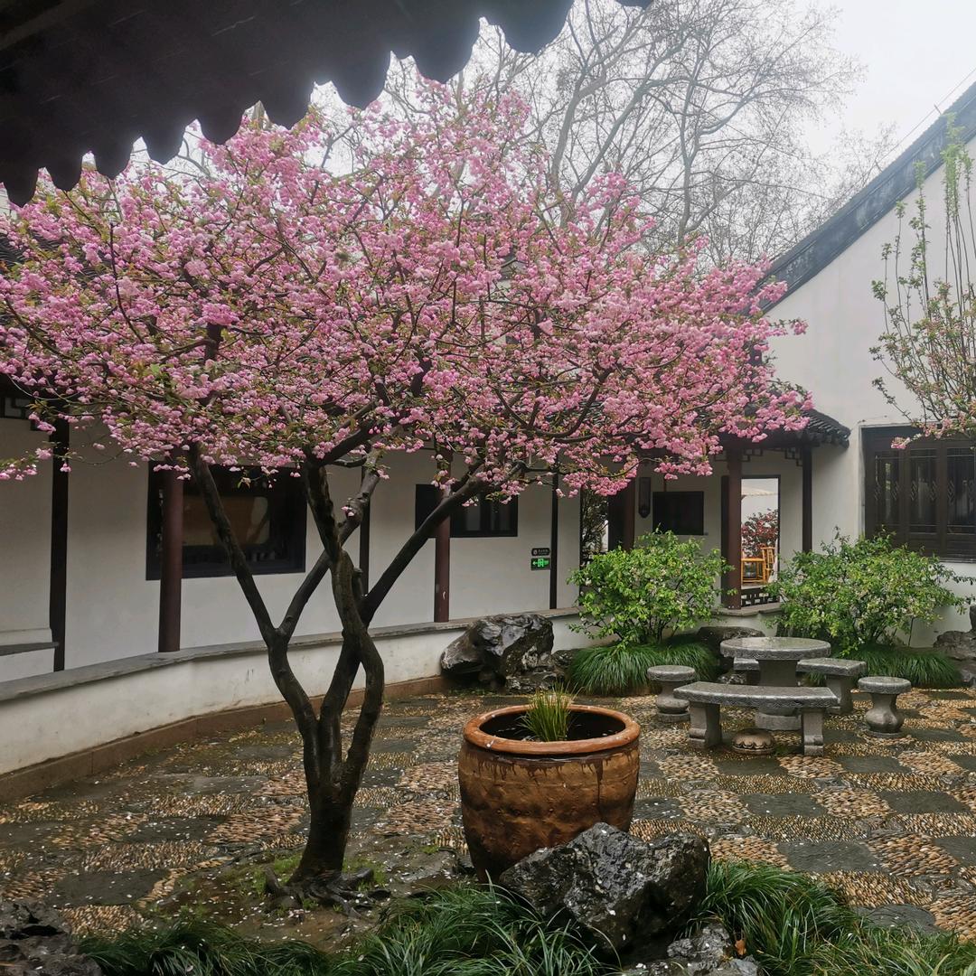 骑牛去旅行
