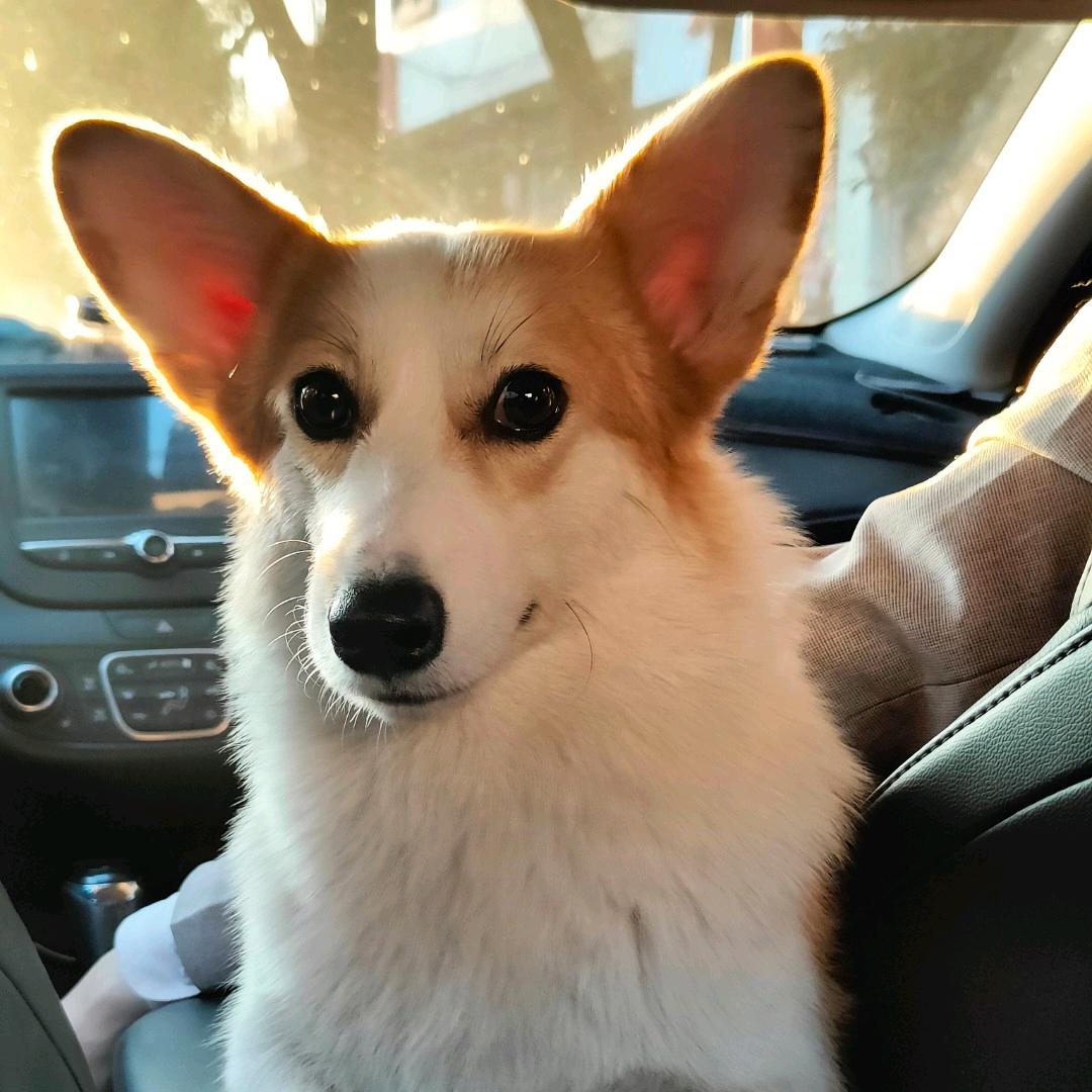 臭坨坨~~~胤象创意