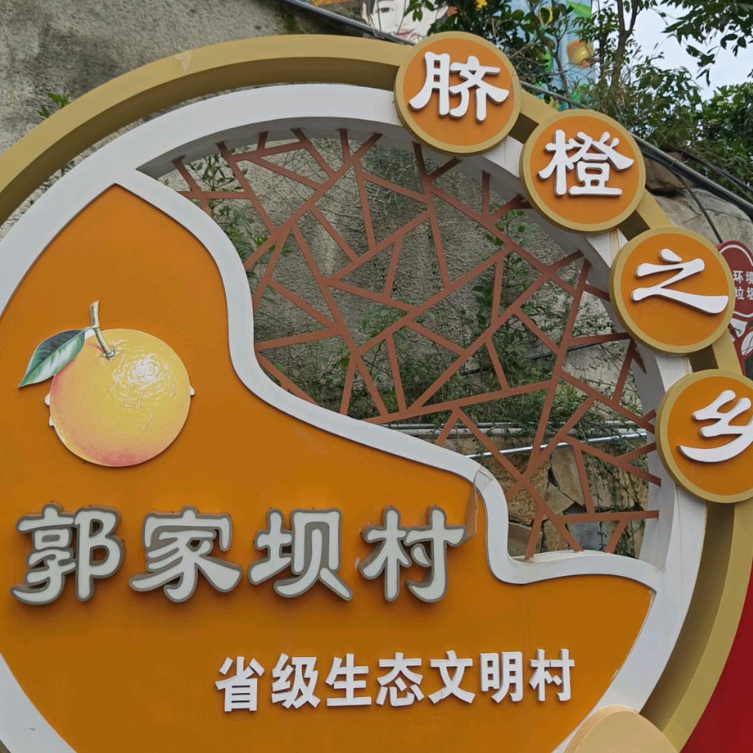 橙多多姐姐