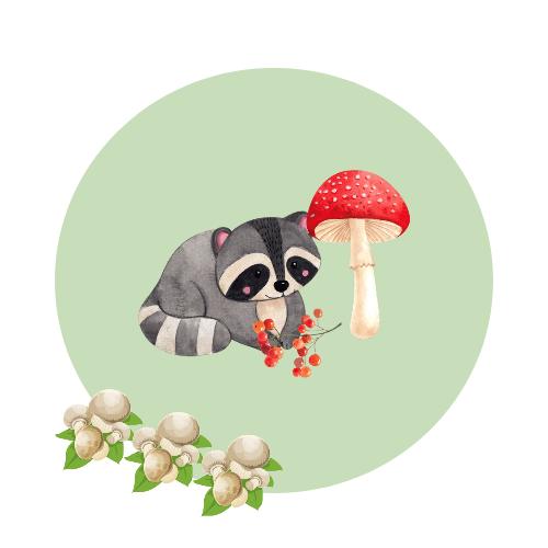 学渣小蘑菇