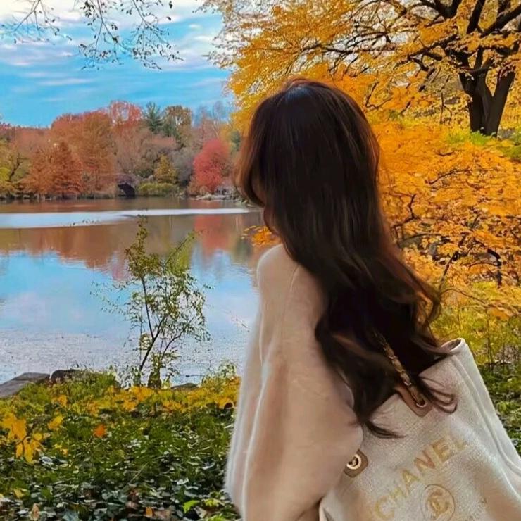 倾城办公软件