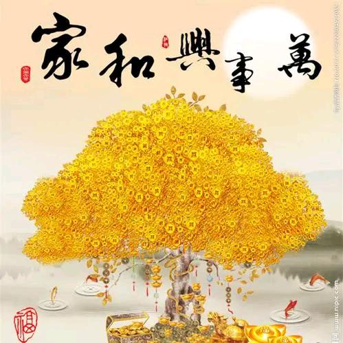 林姐