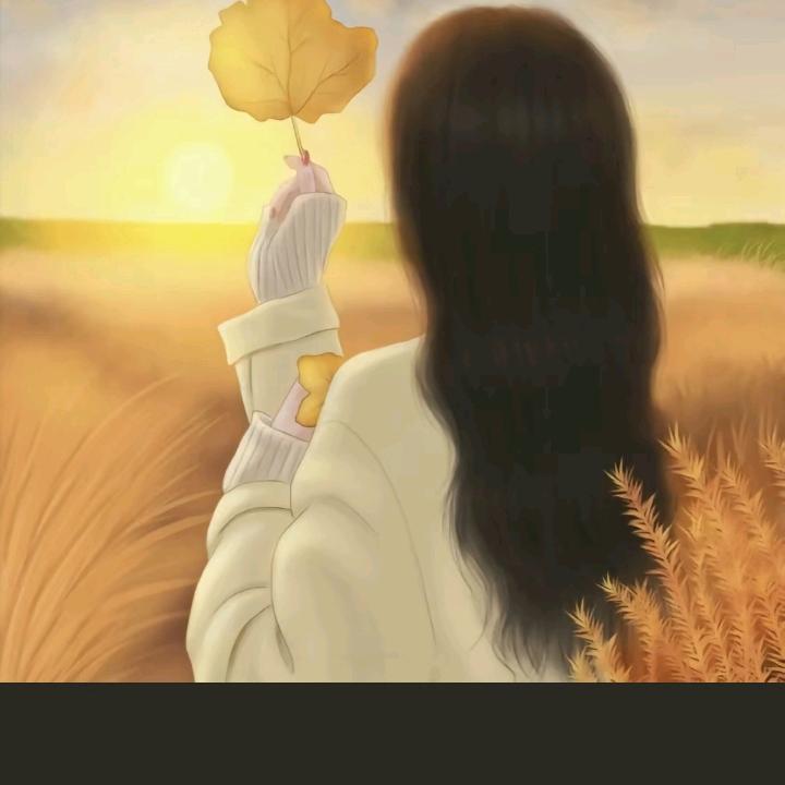 初秋微凉