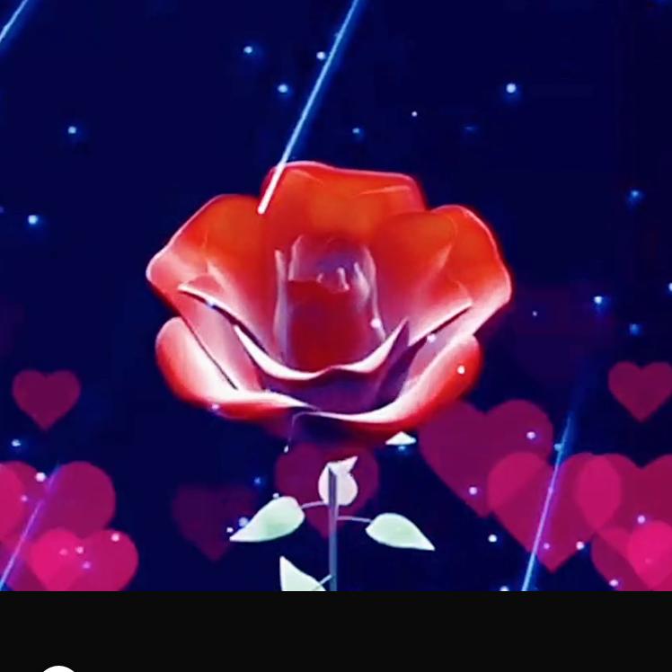 🌄豆米奶奶💅