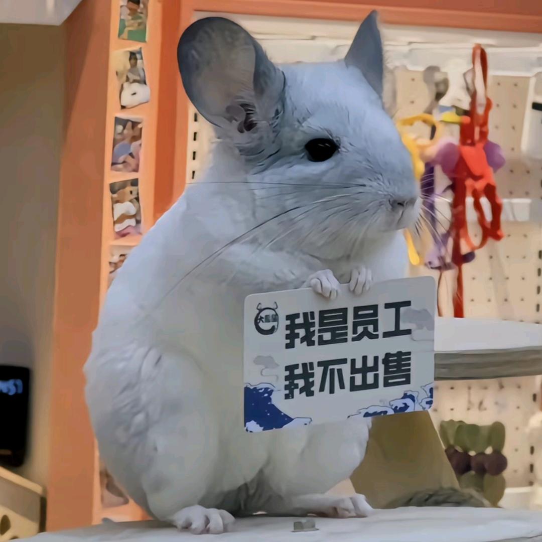 睡醒了