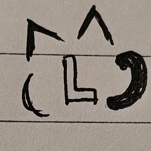 大猫罗格4
