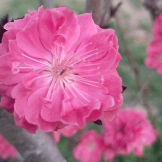 尚尚的佛系生活