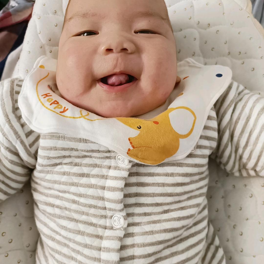 小龙宝