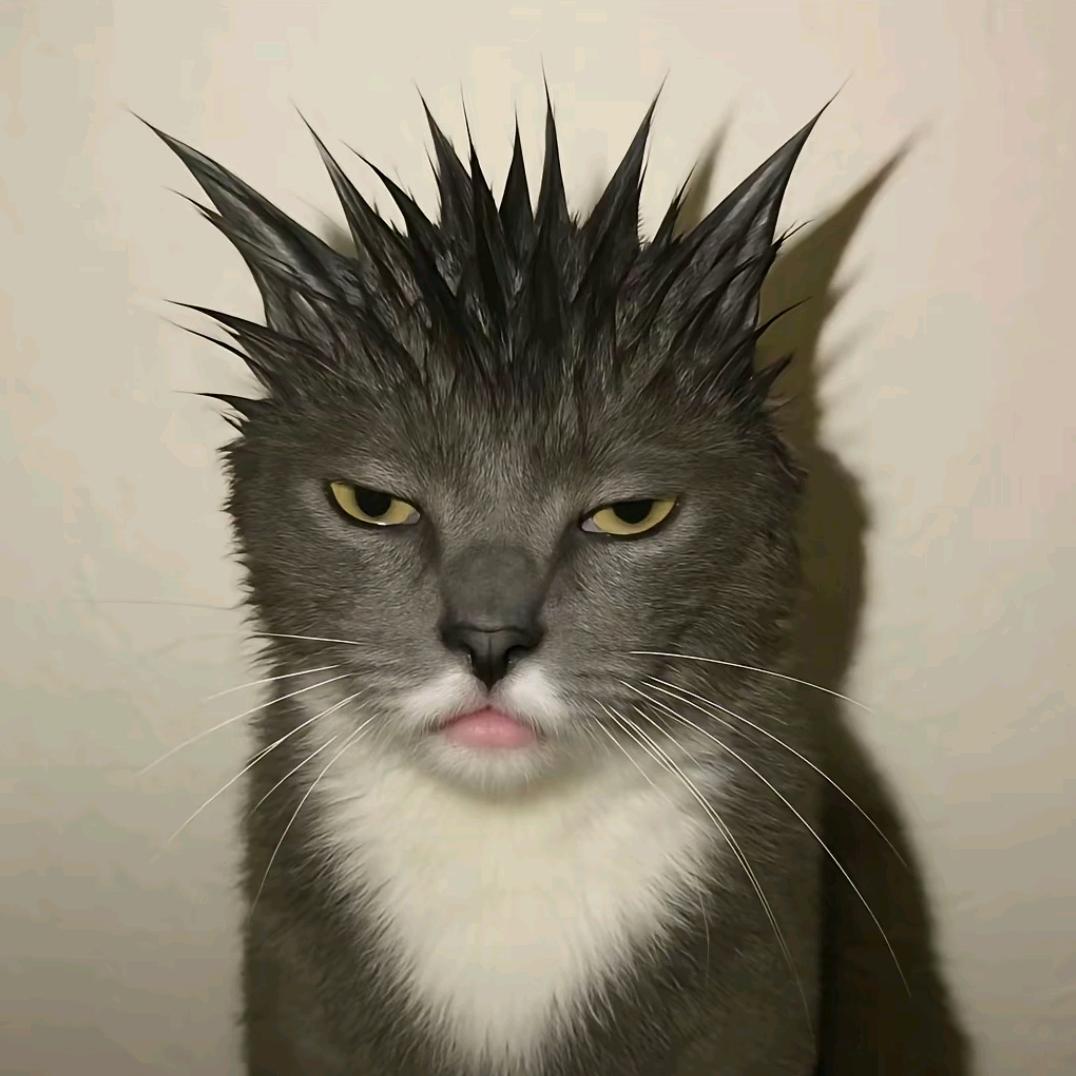 大庆（24医生大千世界，25如谜限定版）