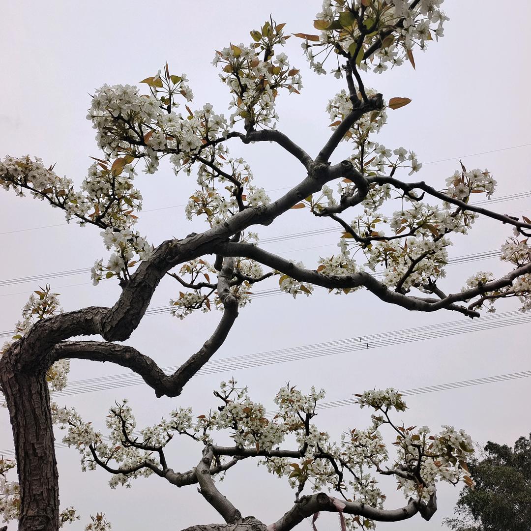 ꧁💖习惯🌺孤独💖꧂一个人