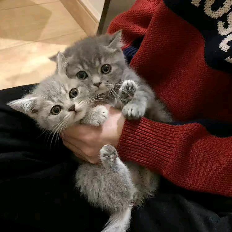 珍惜每一天✍4584036863