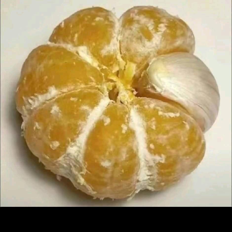 ，仙人球
