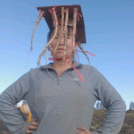 深山语录农产滋补优品店