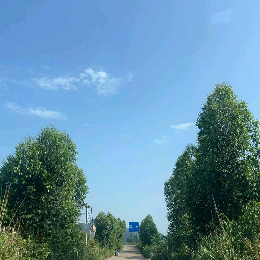 大螃蟹