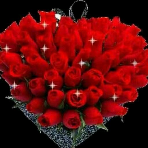 ❄️邻家的小孩❄️