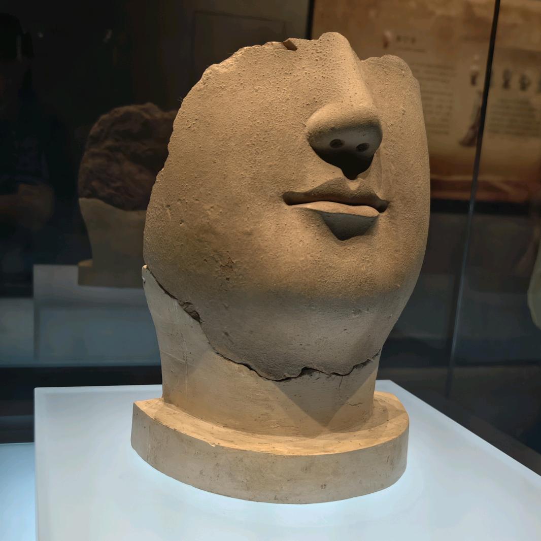 不可选中的蒲公英头像