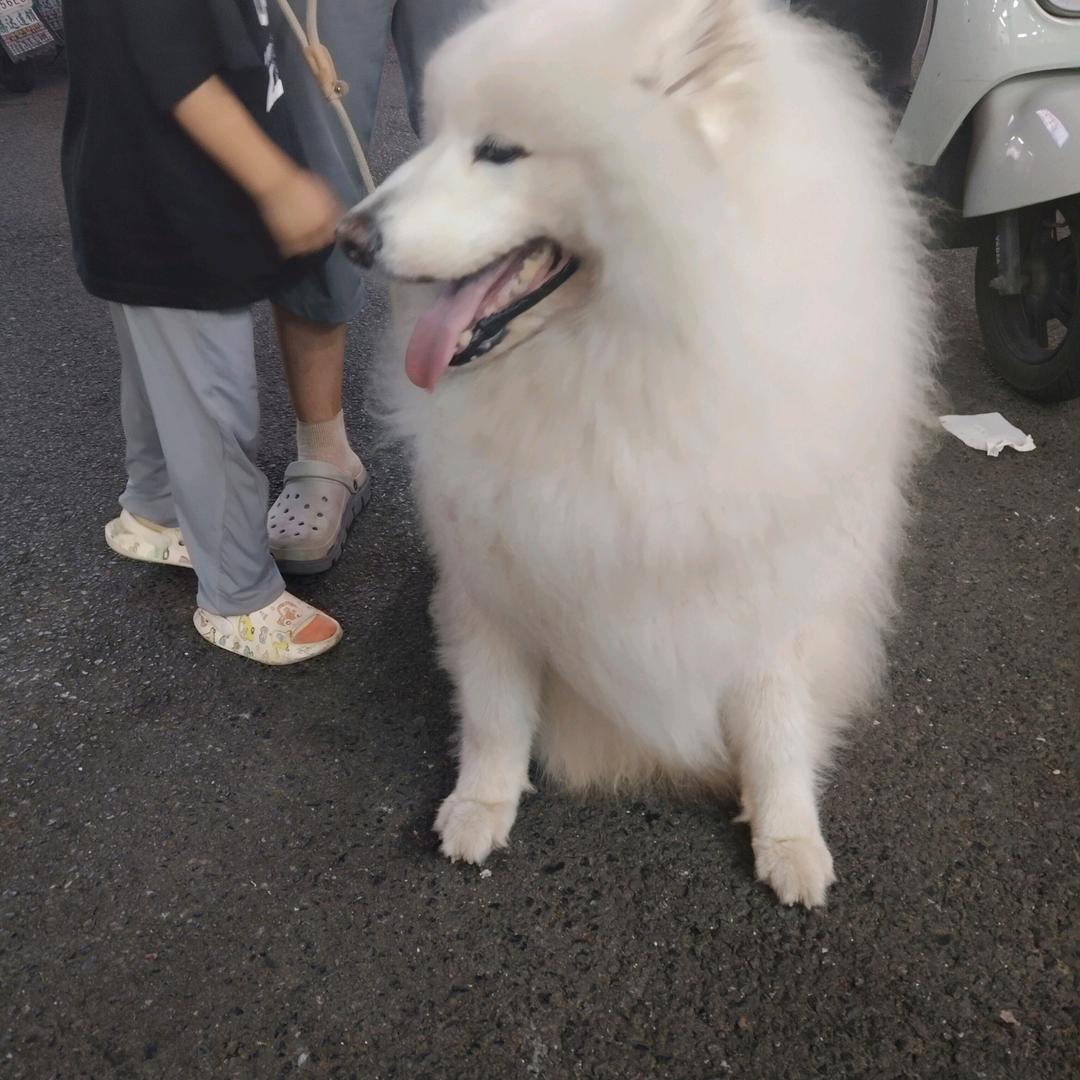 浪迹岁月