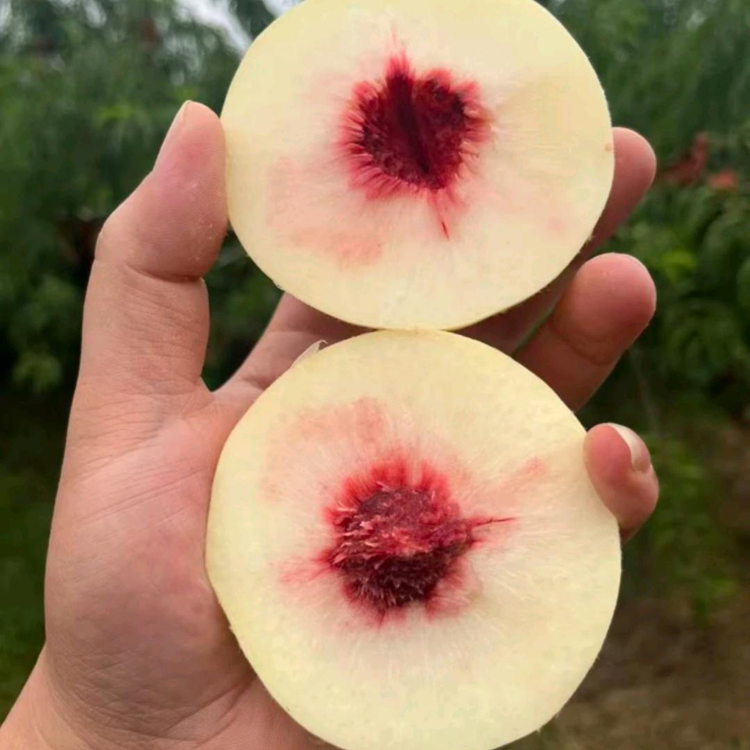 麦格鲜果应季