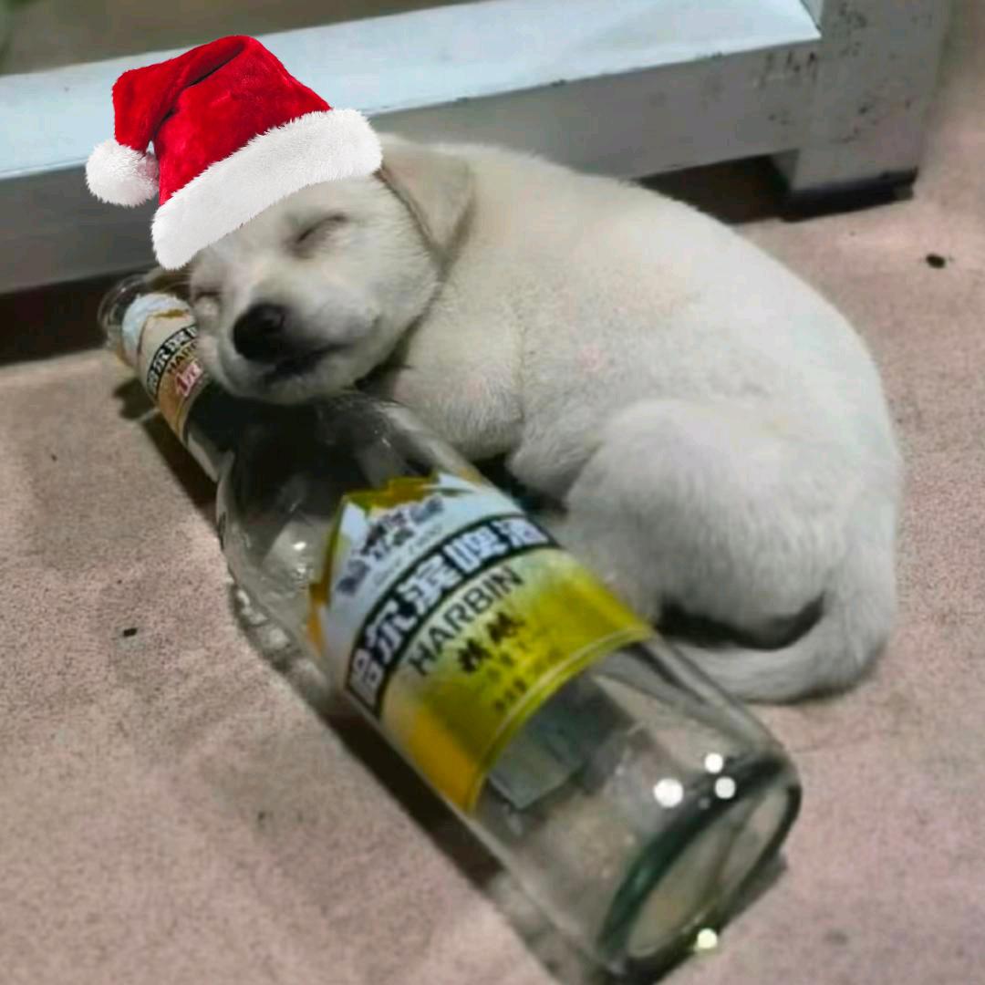 ✧(๑˃́ꇴ˂̀๑)✧