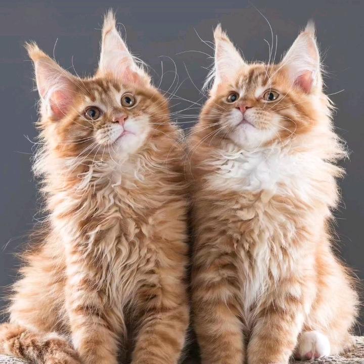 💦💦在希望的田野上明天会更好💦💦