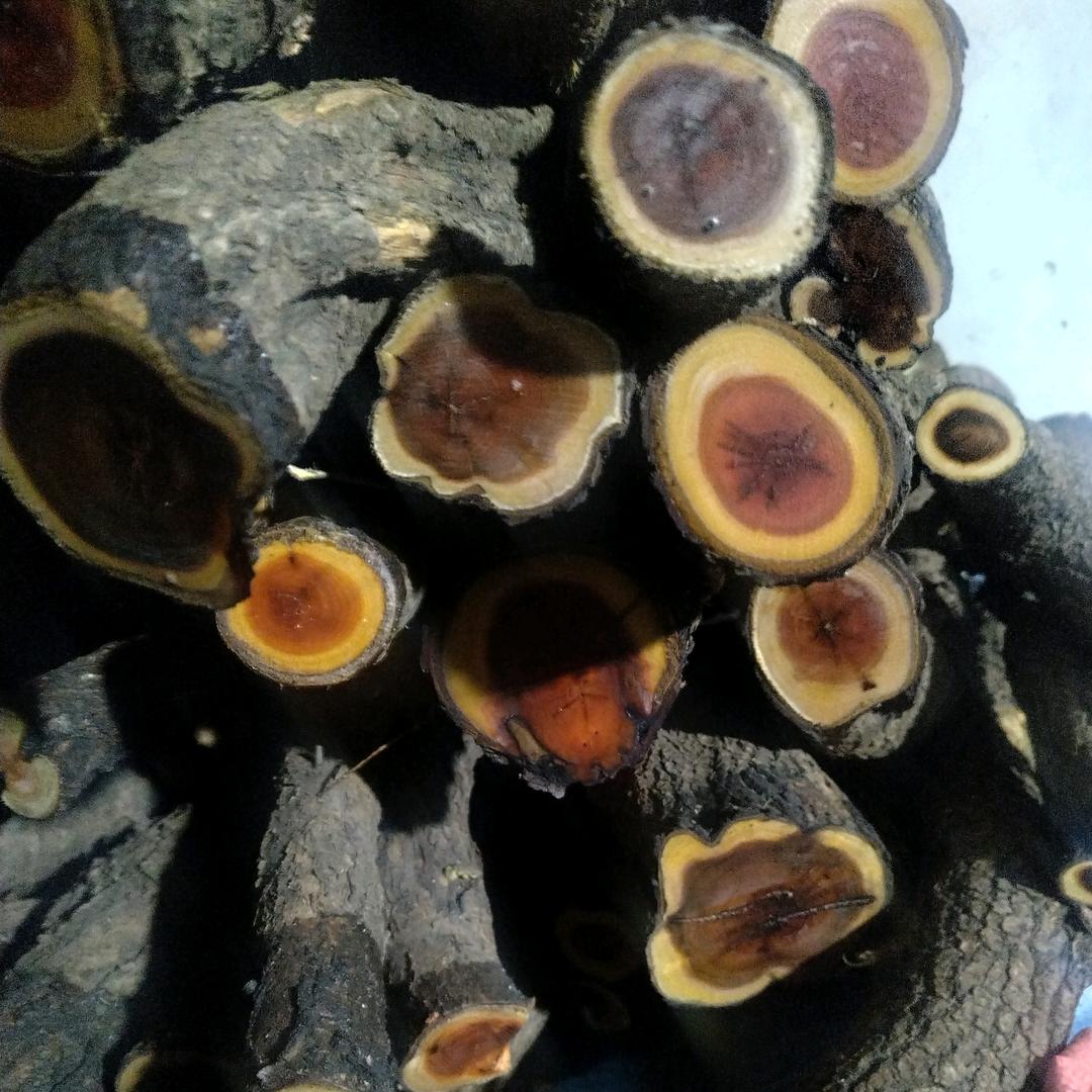 琦铨甄选阁木店