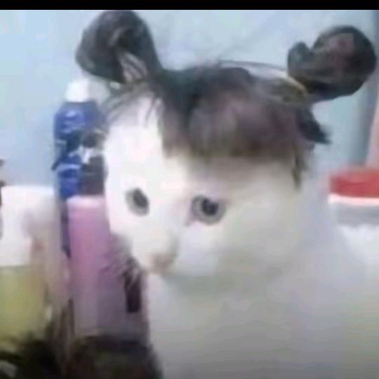 云云养发
