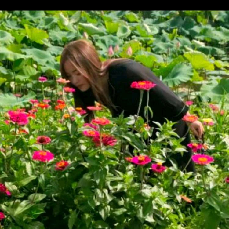 小梦梦🌺