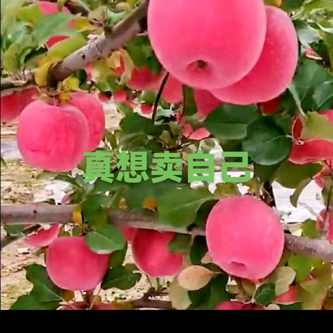 一切安好