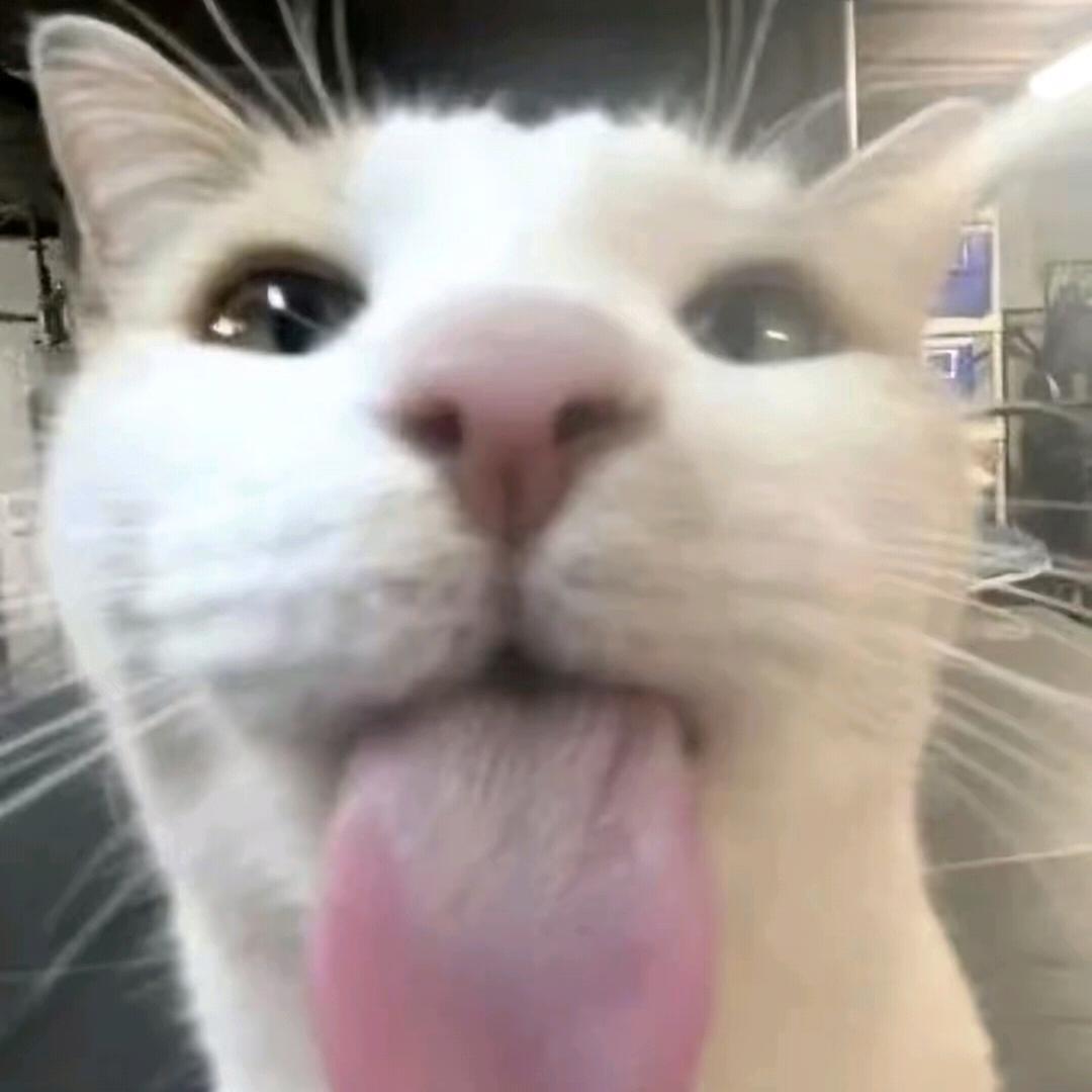 不听不听