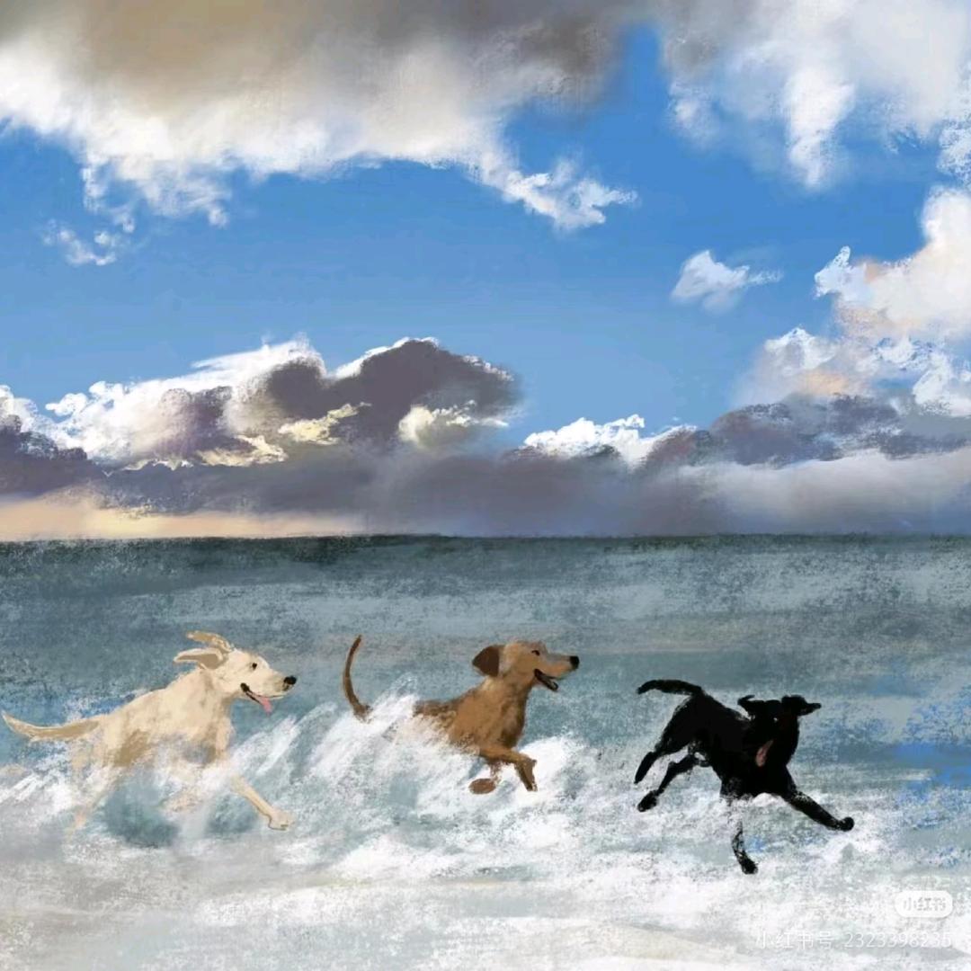 小黑🐶日常