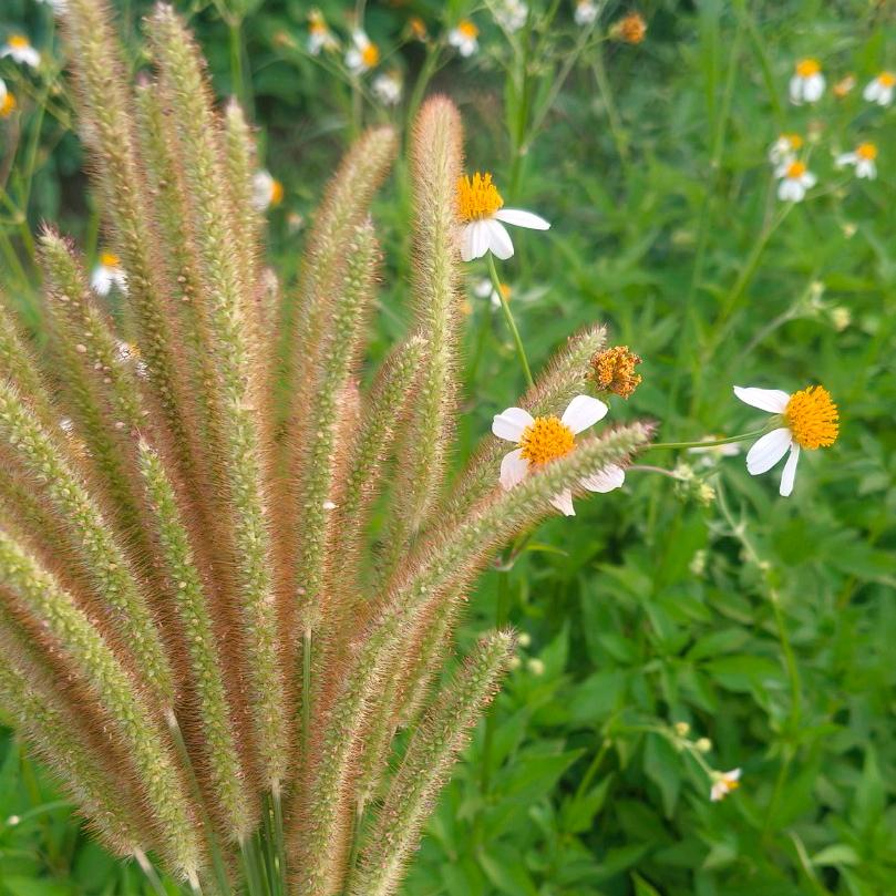 じօνε͇ؓ暴富小甜心🎀